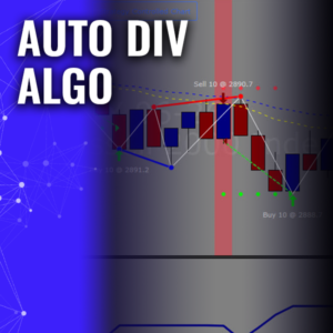 Auto Div Algo